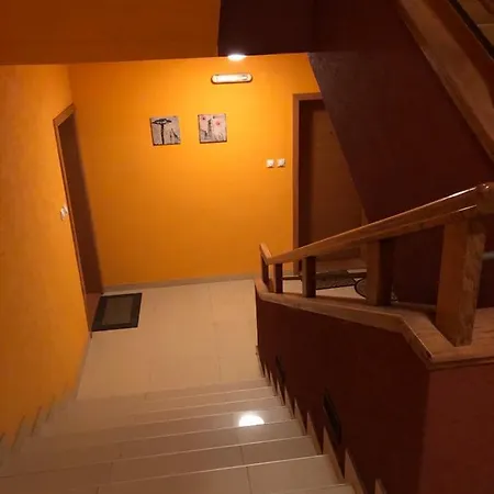 Misel * Vrnjačka Banja