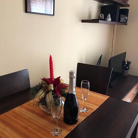 Apartment Misel Vrnjačka Banja