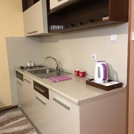 Misel Vrnjačka Banja