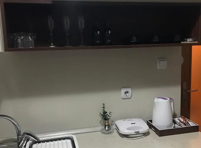 Misel Lägenhet Vrnjačka Banja